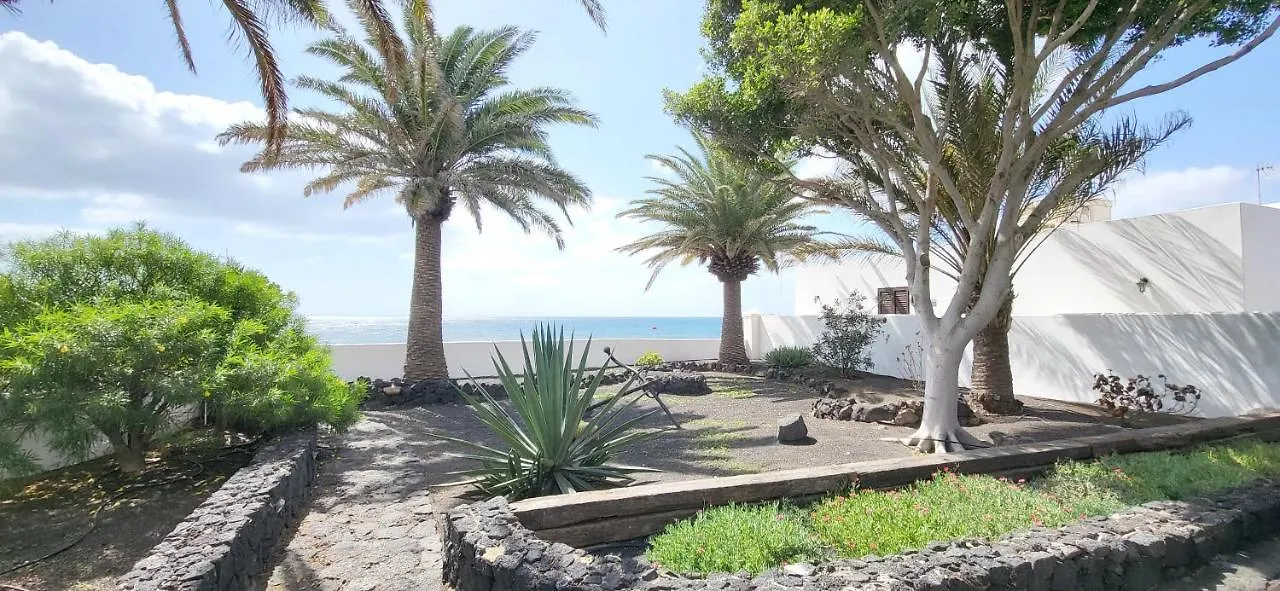 Loro Verde Playa Honda